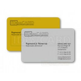 Cartes PVC argent/or