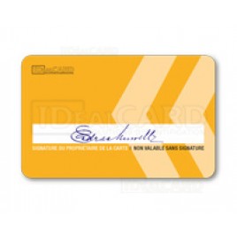 Cartes PVC piste signature